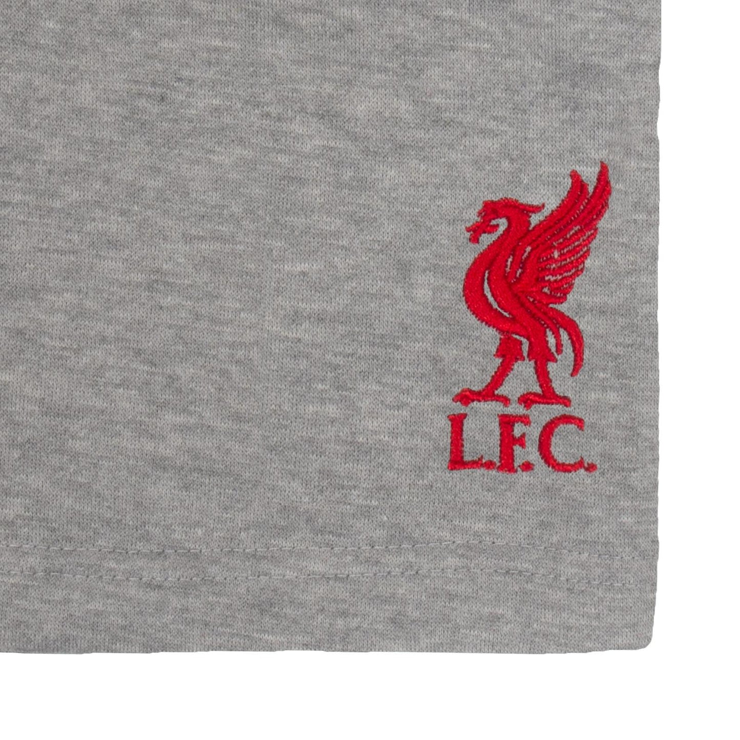 Grey - Back - Liverpool FC Mens Fleece Shorts