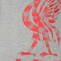 Grey - Side - Liverpool FC Mens Graphic T-Shirt
