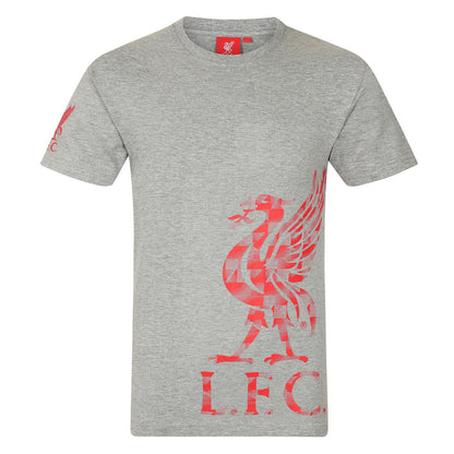 Grey - Front - Liverpool FC Boys Crest T-Shirt