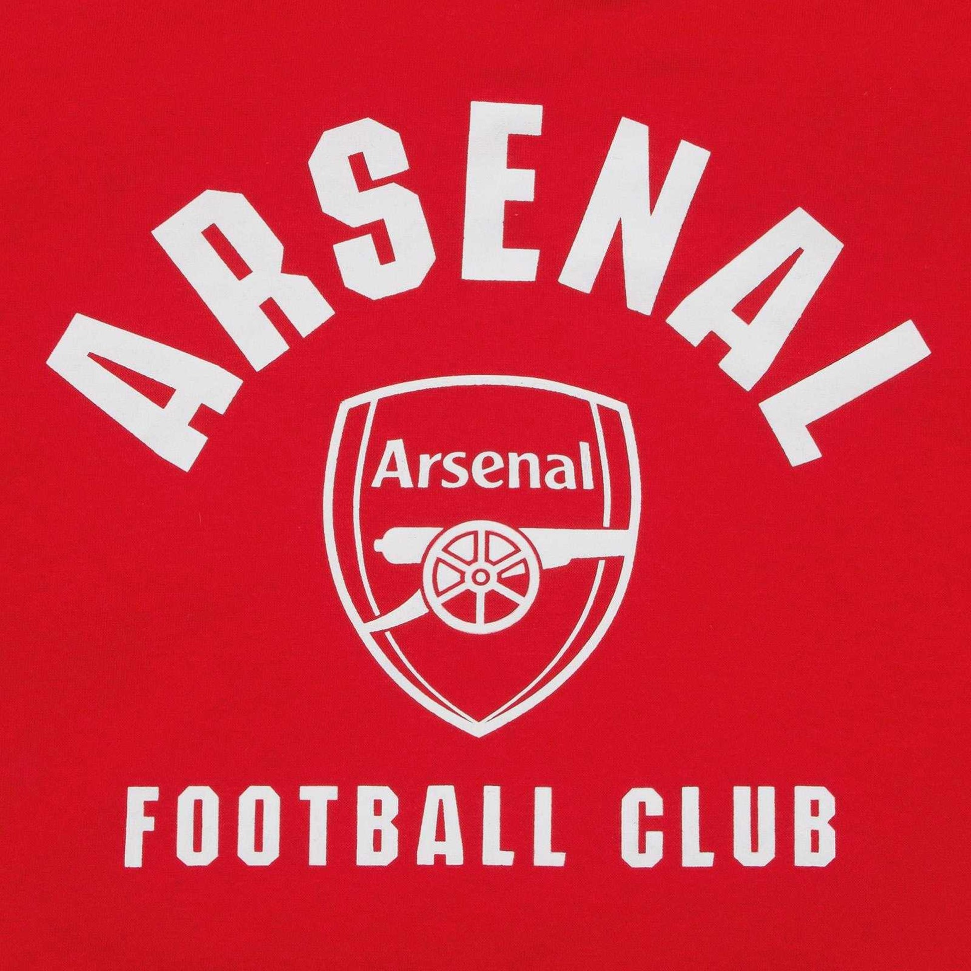 Red - Lifestyle - Arsenal FC Mens Crest Fleece Hoodie