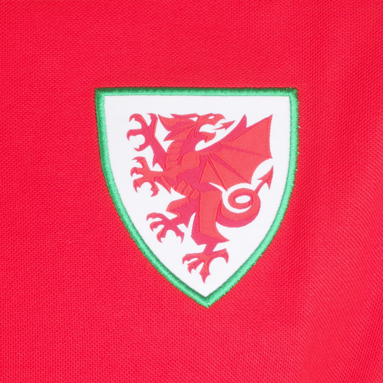Red - Back - Wales Cymru Boys Contrast Sleeves Polo Shirt