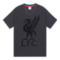 Grey - Pack Shot - Liverpool FC Mens Short Pyjama Set