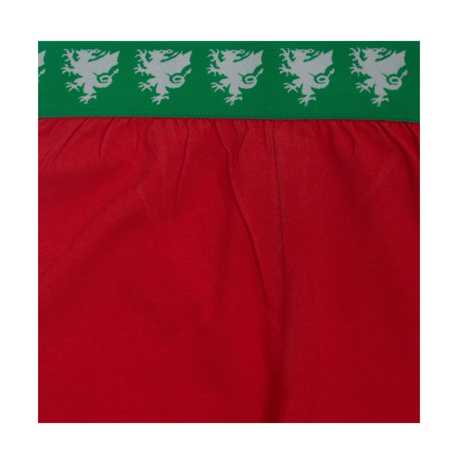 Red - Lifestyle - Wales Cymru Boys Short Pyjama Set