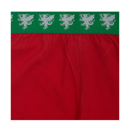 Red - Lifestyle - Wales Cymru Boys Short Pyjama Set