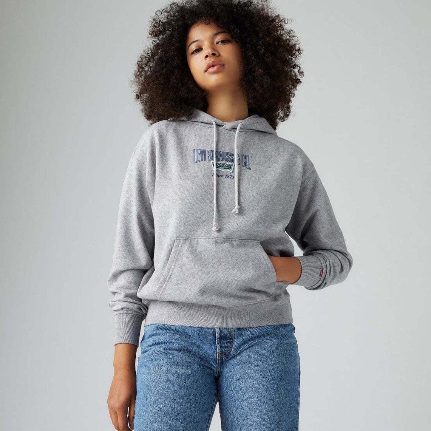Grey - Pack Shot - Levis Womens-Ladies Heritage Graphic Hoodie