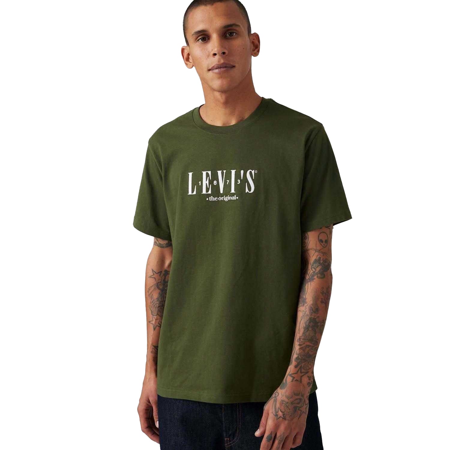 Green - Pack Shot - Levis Mens Graphic Relaxed Fit T-Shirt