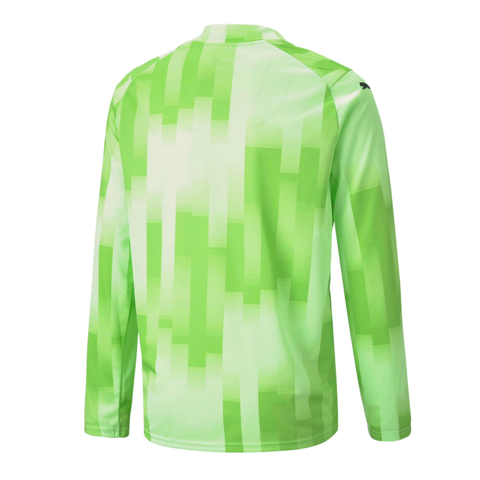 Lime - Back - Puma Childrens-Kids Teamtarget Long-Sleeved Goalkeeper Jersey