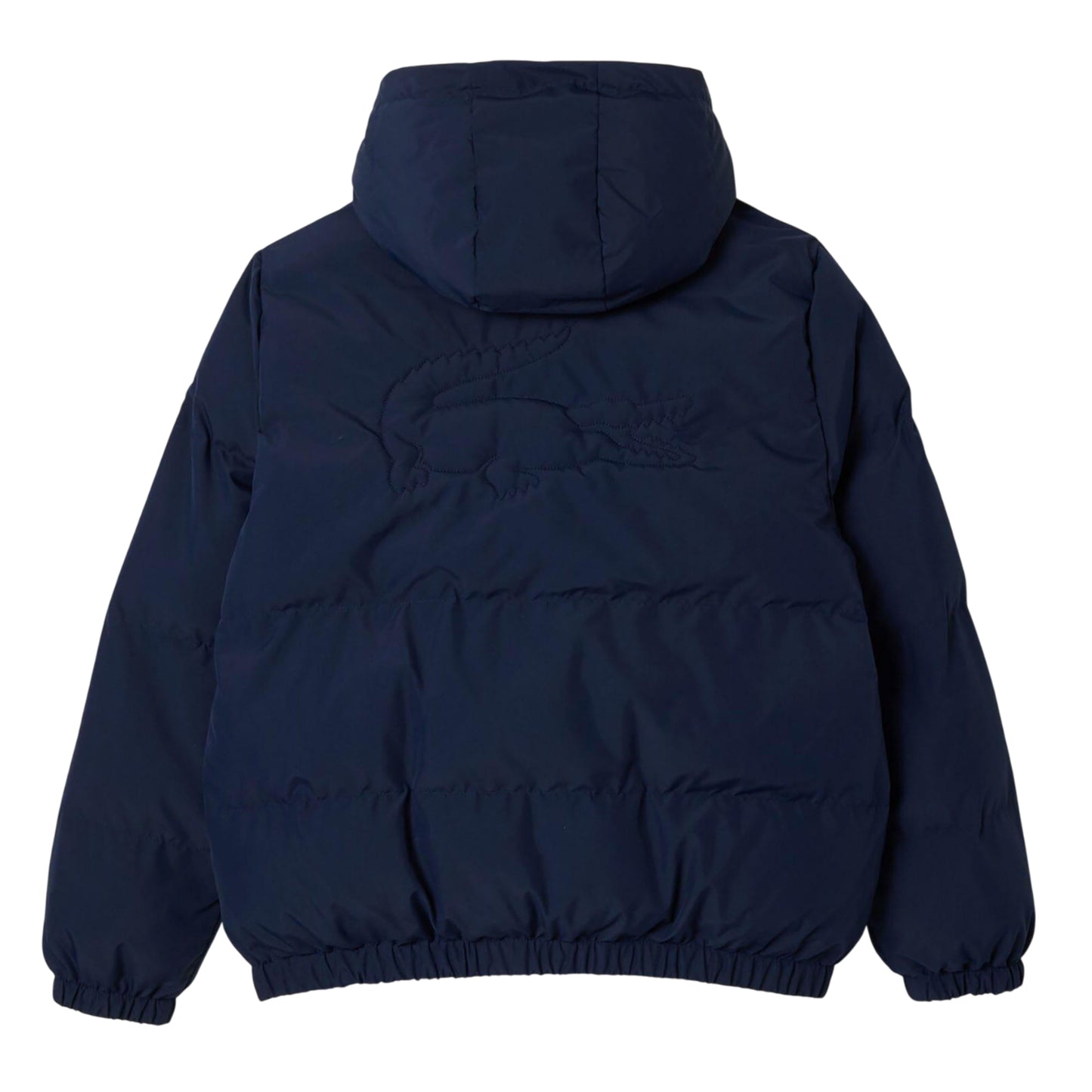 Navy - Back - Lacoste Childrens-Kids Padded Jacket