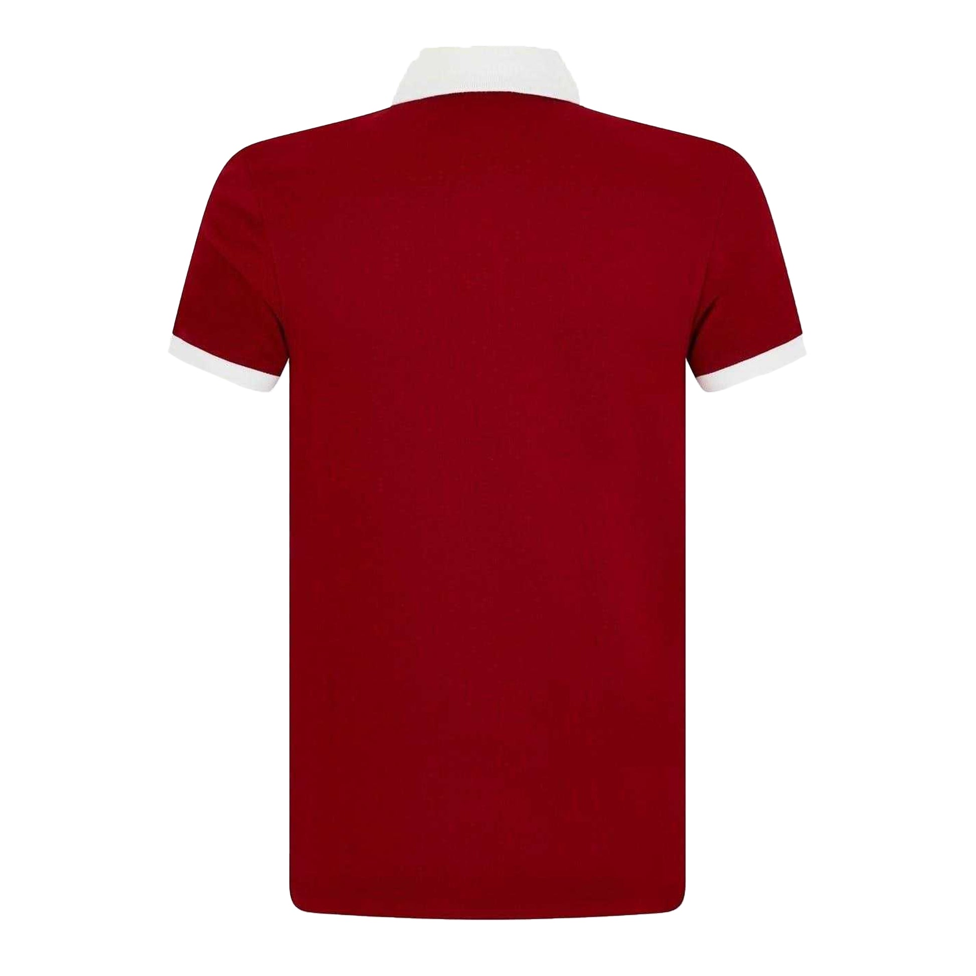 Red Dahlia - Back - British & Irish Lions Mens Cotton Polo Shirt