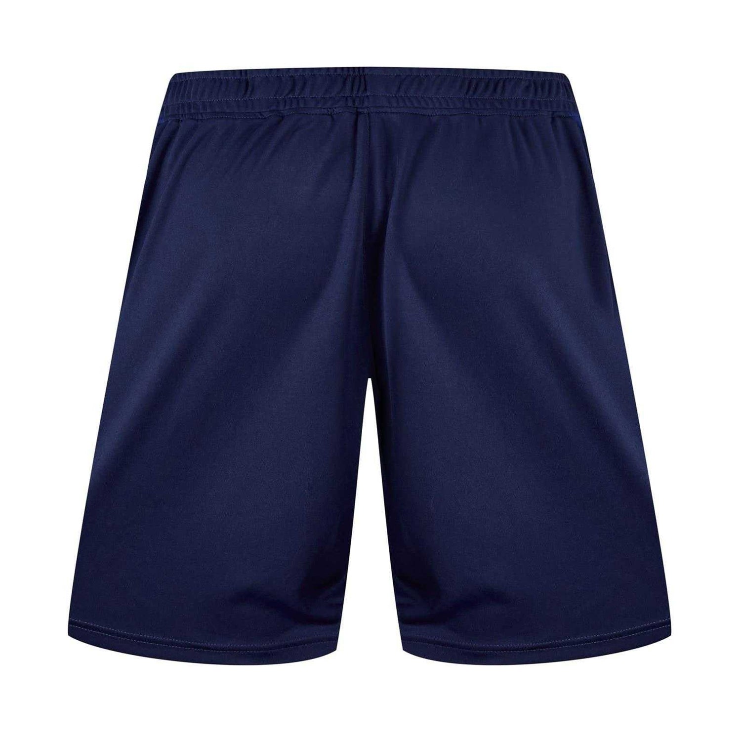 Blue - Back - Castore Unisex Adult Scarlets Rugby Shorts