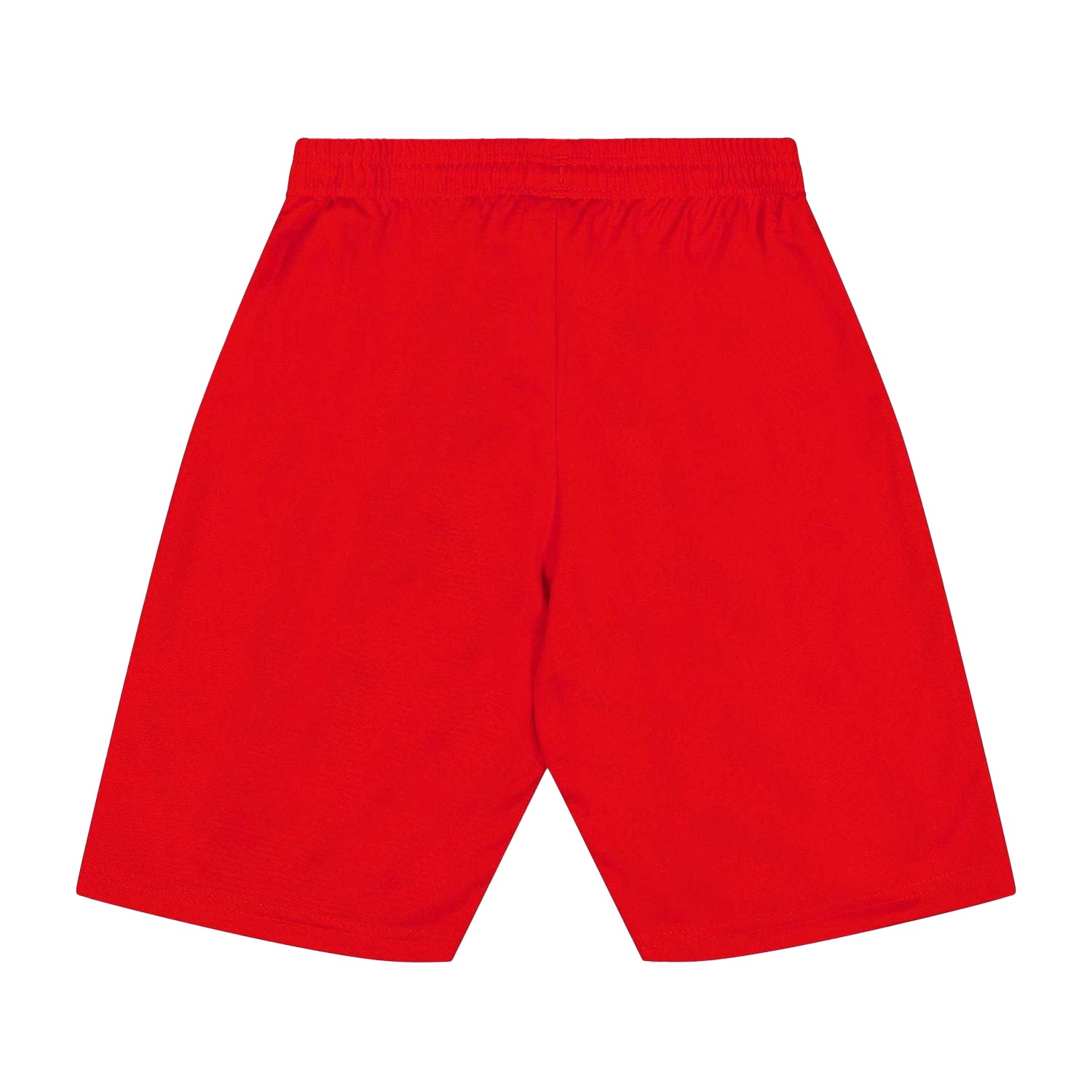 Red - Back - Puma Childrens-Kids Team Shorts