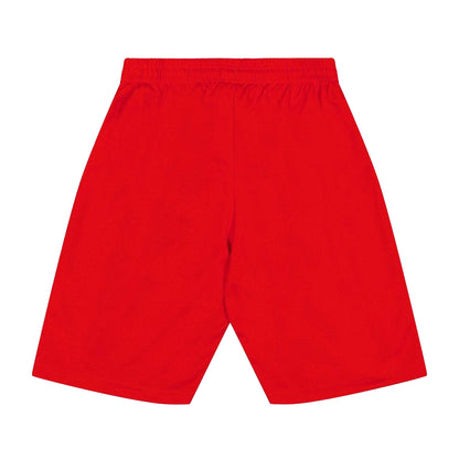 Red - Back - Puma Childrens-Kids Team Shorts