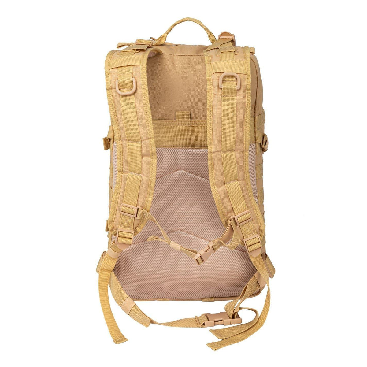 Khaki - Back - Everlast Bronx Outdoor Backpack