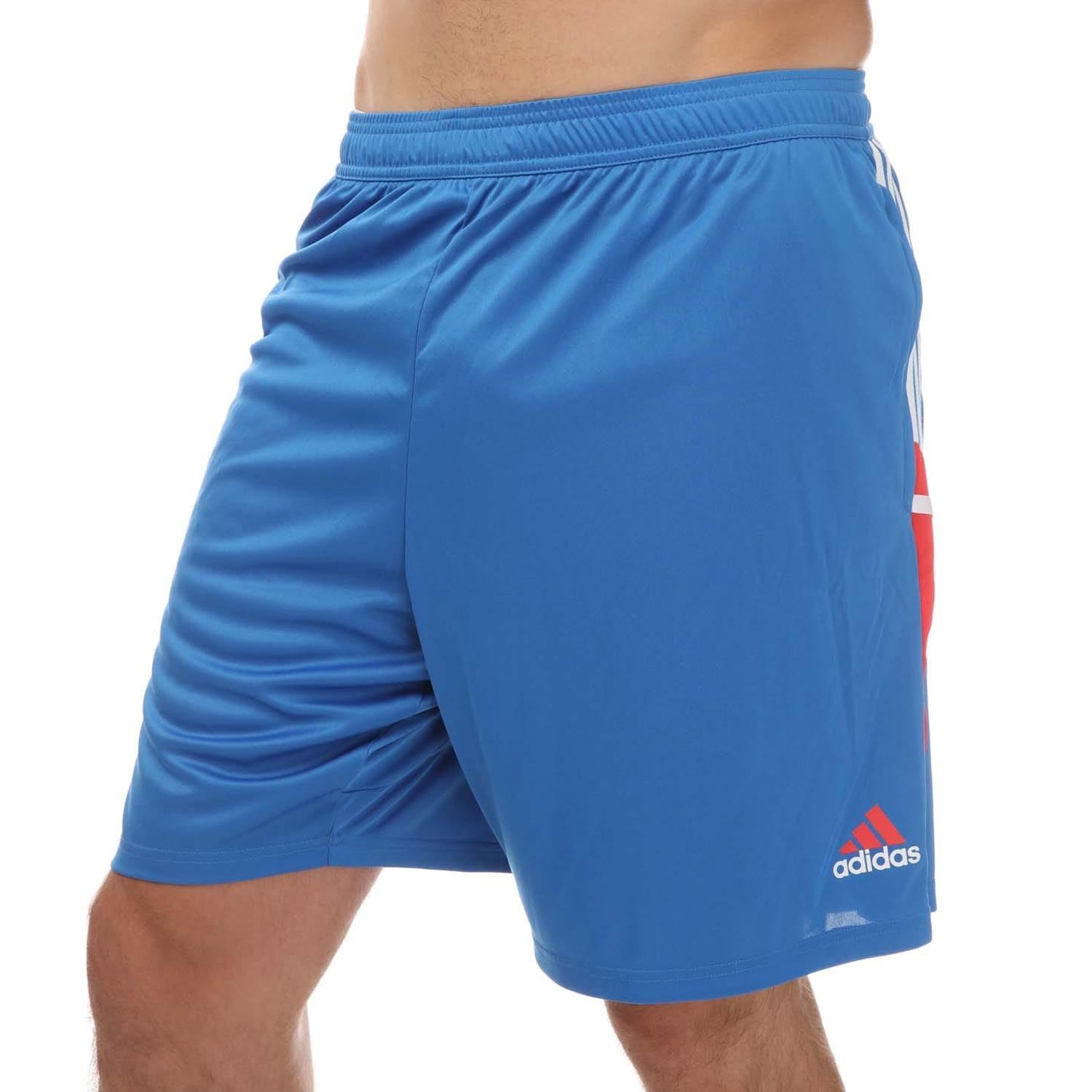 Royal Blue - Front - Adidas Mens Bayern Munich 2022-23 Training Shorts