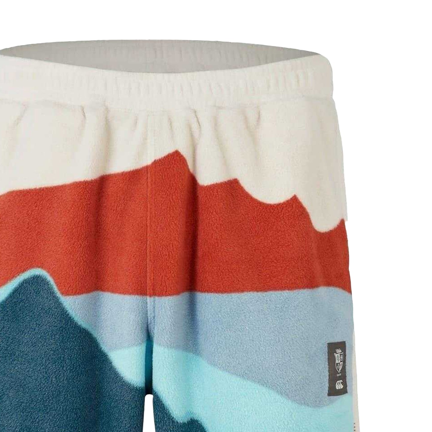 Rainy Day - Back - Canterbury Unisex Adult Outback 2024 British & Irish Lions Rugby Shorts