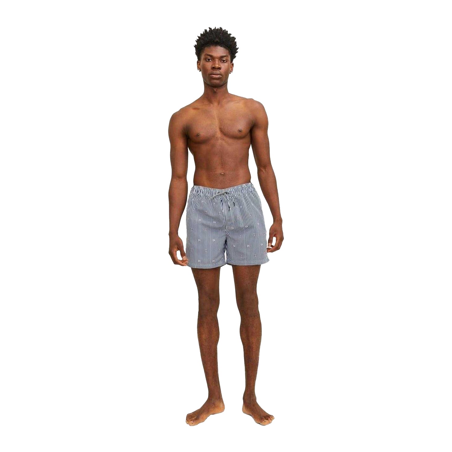 Navy Blazer - Lifestyle - Jack And Jones Mens Striped Woven Regular Swim Shorts