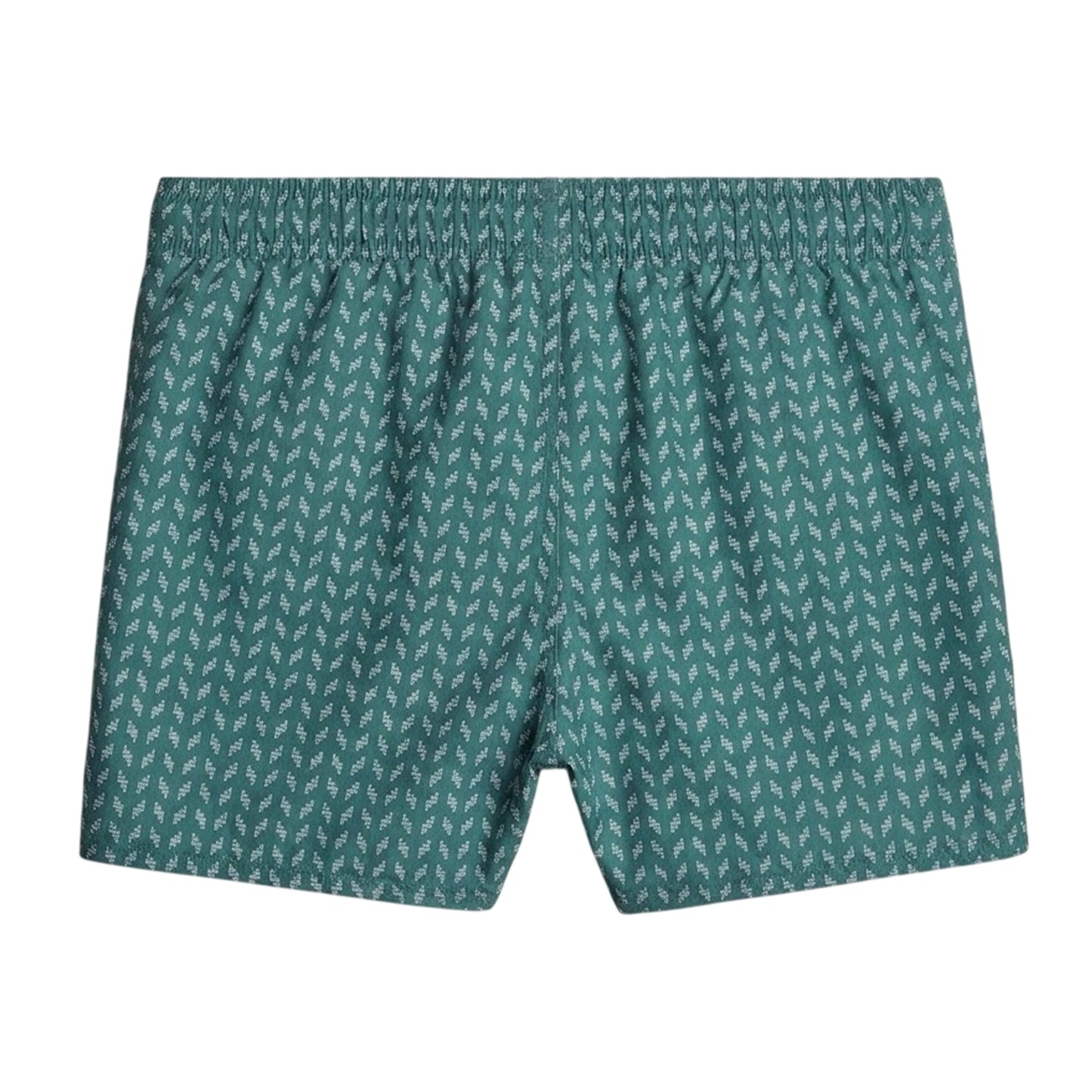Blue Spruce - Back - G-Star Mens Carnic Swim Shorts