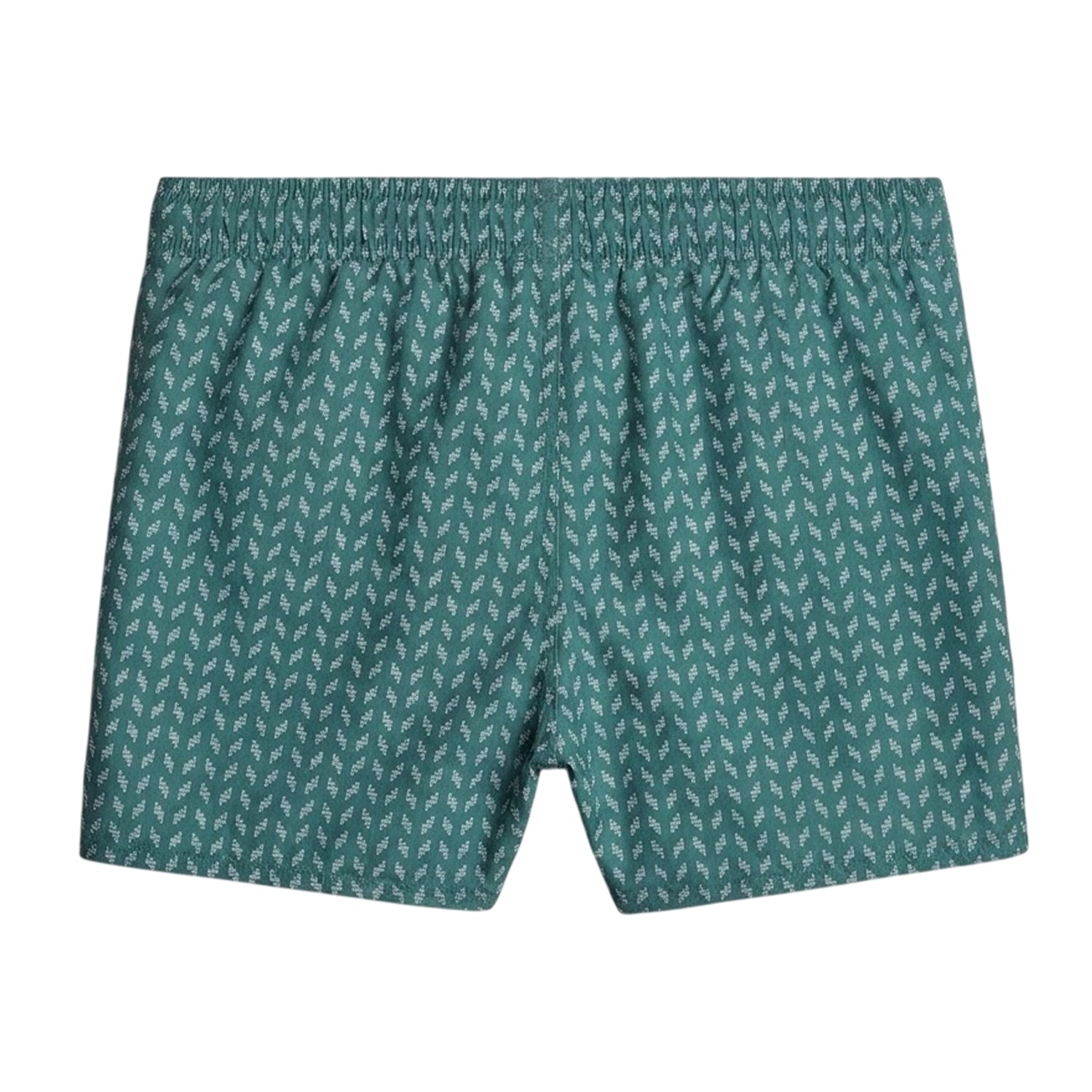 Blue Spruce - Back - G-Star Mens Carnic Swim Shorts
