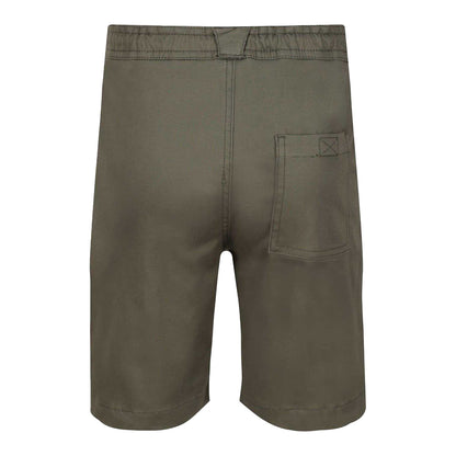 Green - Back - Regatta Childrens-Kids Alber Chino Shorts