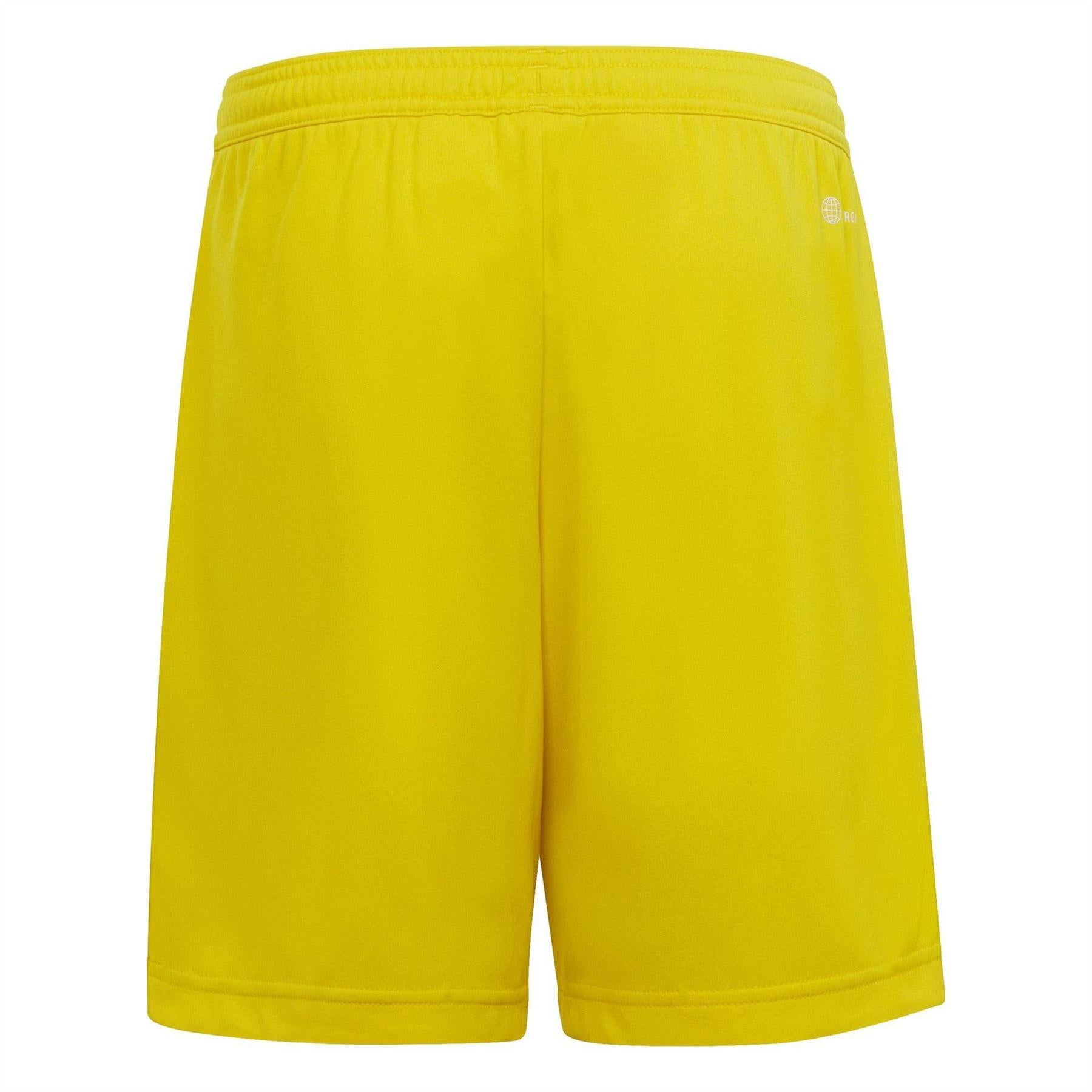 Yellow - Back - Adidas Childrens-Kids Entrada 22 Shorts