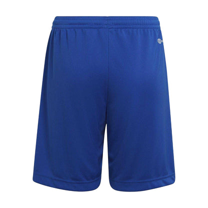 Blue - Back - Adidas Childrens-Kids Entrada 22 Shorts