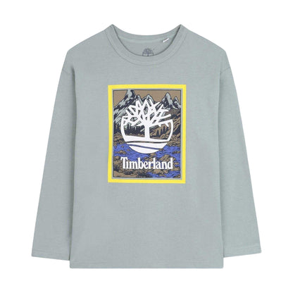 Grey - Front - Timberland Childrens-Kids Graphic Print T-Shirt