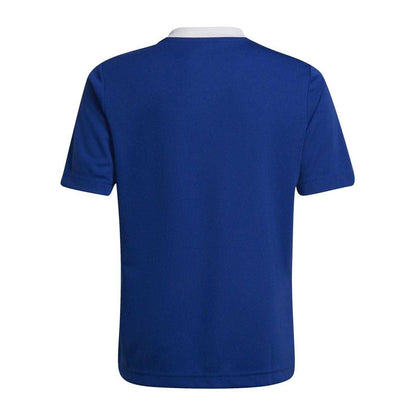 Royal Blue - Back - Adidas Childrens-Kids V Neck T-Shirt