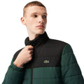 Black-Green - Lifestyle - Lacoste Mens Hooded Padded Jacket