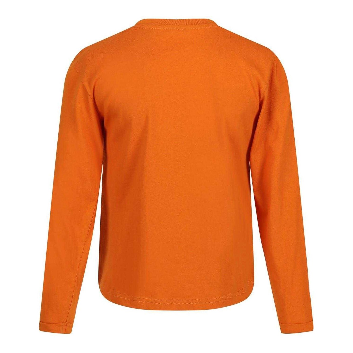 Autumn Maple - Back - Regatta Childrens-Kids T-Shirt