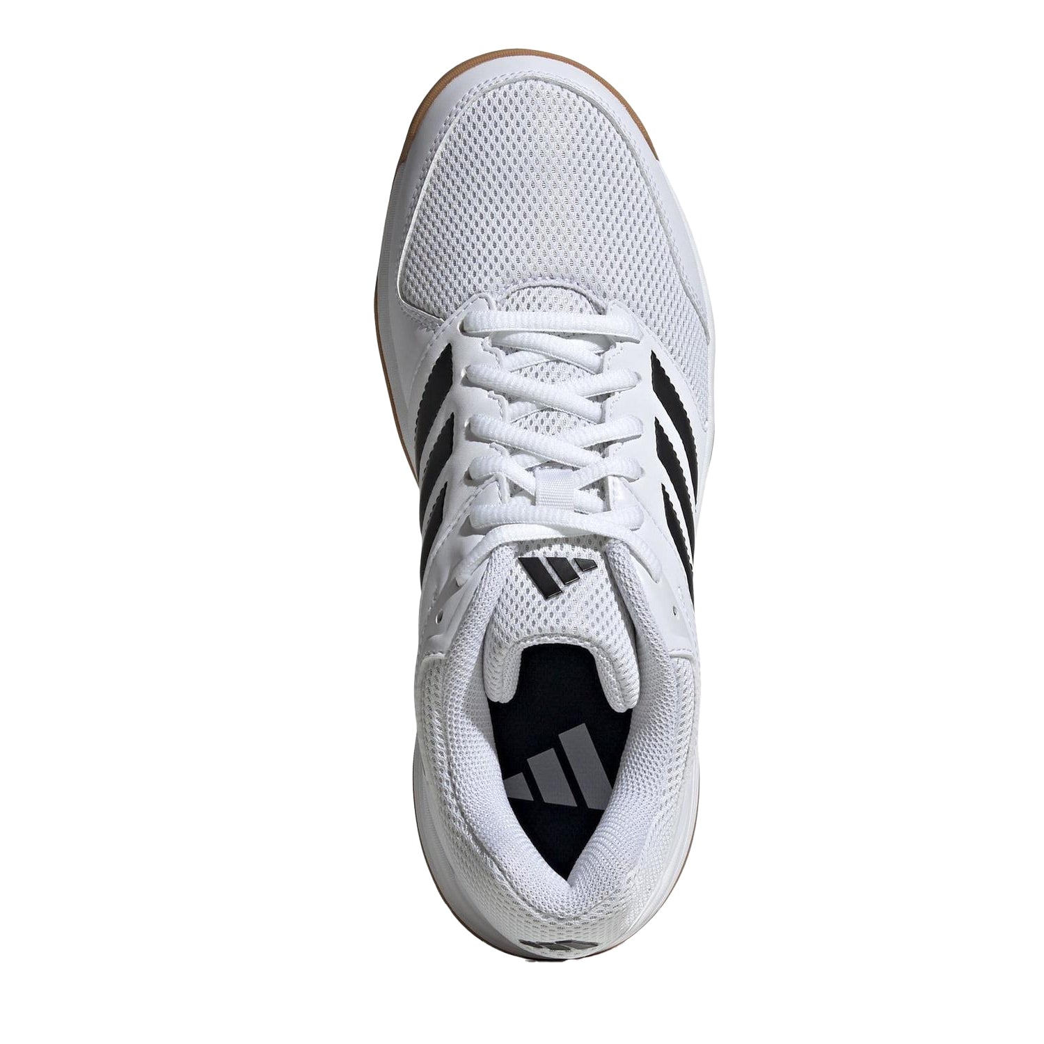 White - Pack Shot - Adidas Womens-Ladies Speedcourt 3 Stripes Non Marking Indoor Shoes