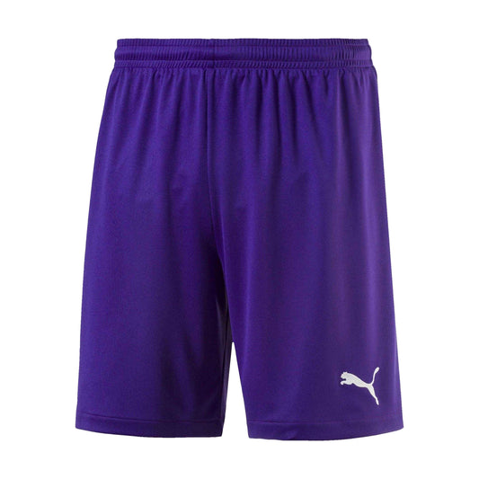 Purple - Front - Puma Childrens-Kids Velize Football Shorts