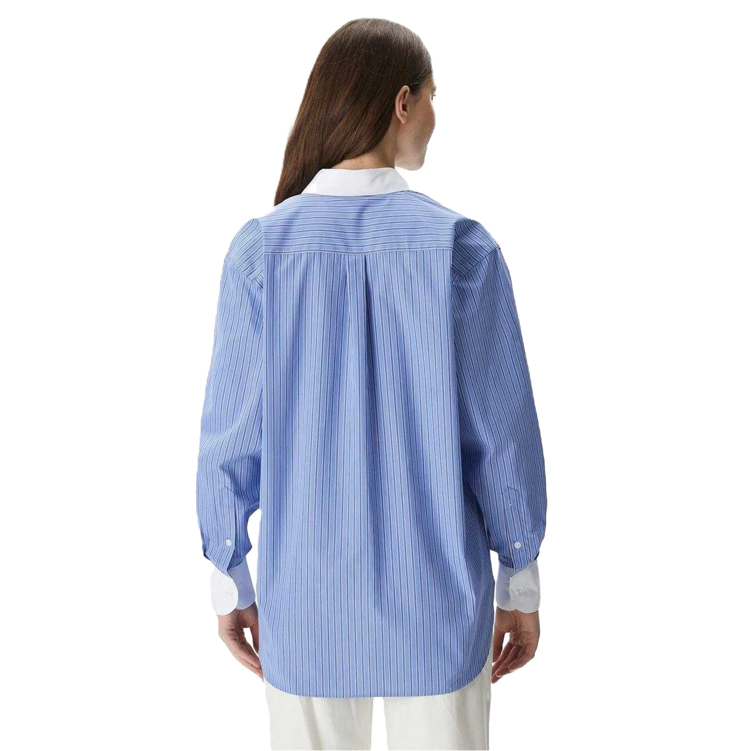 Persian Blue - Back - Lacoste Womens-Ladies Shirt