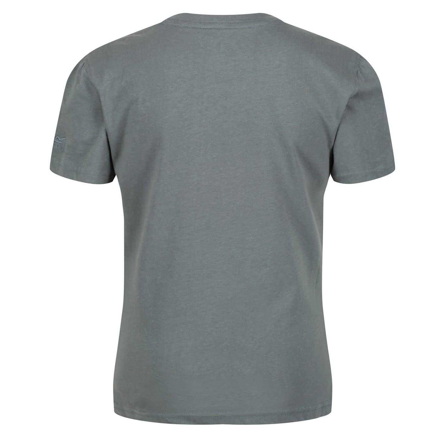 Balsam Green - Back - Regatta Womens-Ladies Jersey T-Shirt