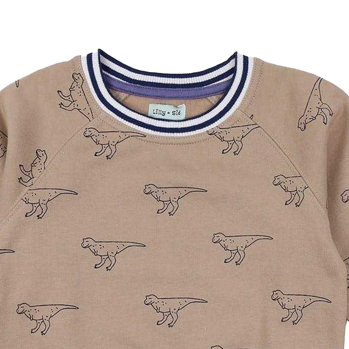 Stone - Back - Lilly & Sid Childrens-Kids Dinosaur Sweatshirt