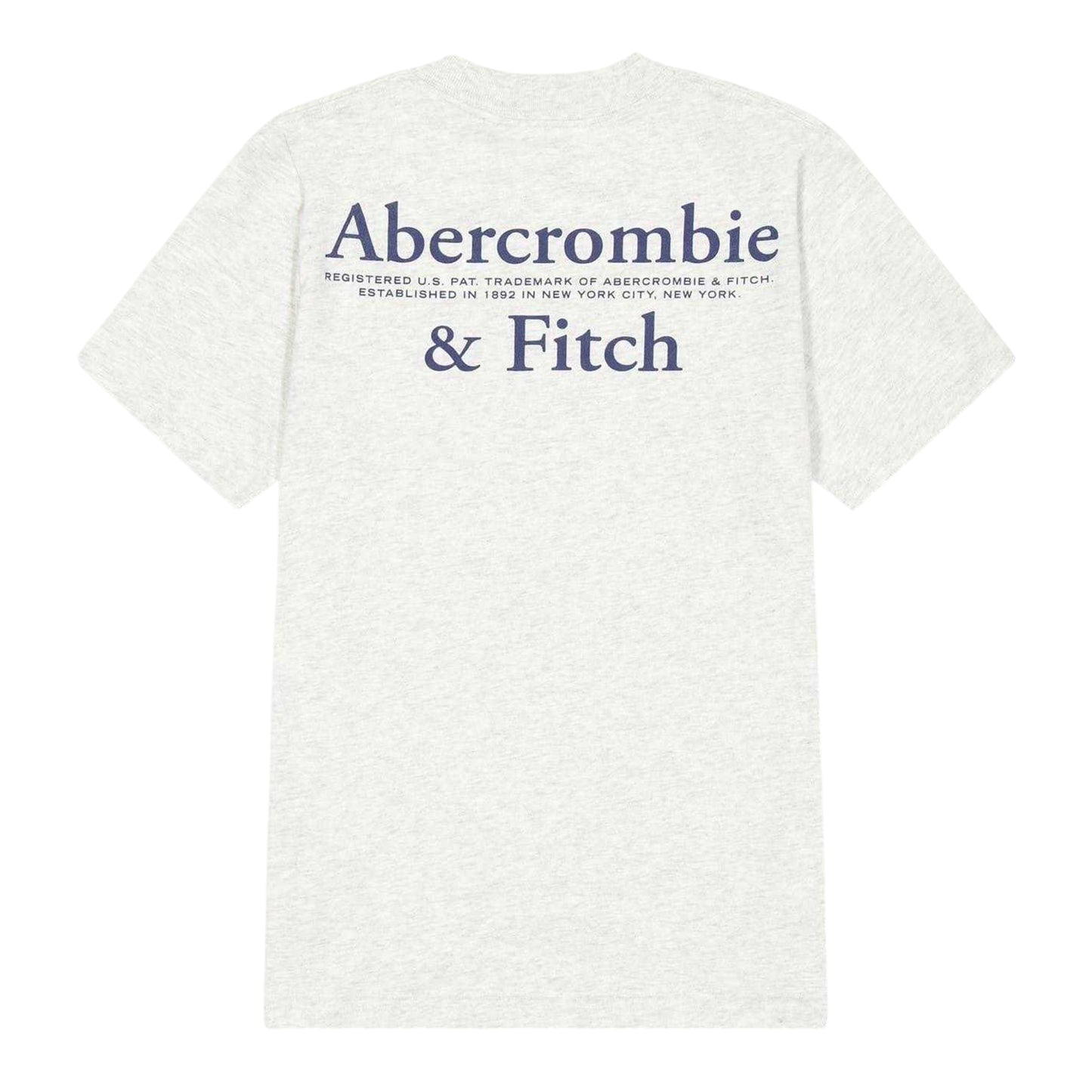 Light Grey - Back - Abercrombie & Fitch Childrens-Kids Foothill T-Shirt
