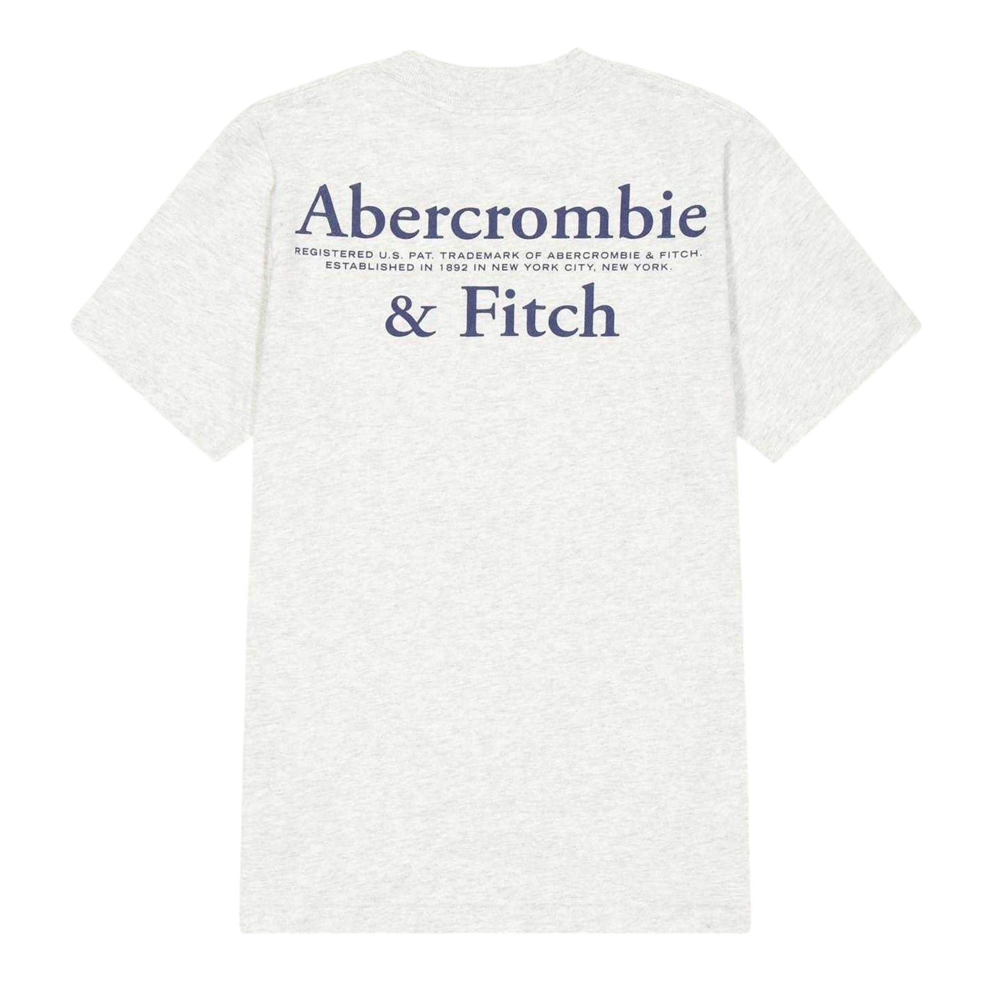 Light Grey - Back - Abercrombie & Fitch Childrens-Kids Foothill T-Shirt