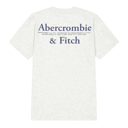 Light Grey - Back - Abercrombie & Fitch Childrens-Kids Foothill T-Shirt
