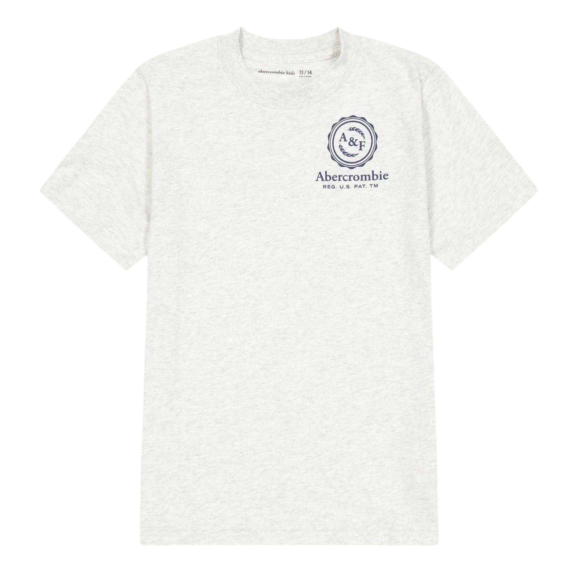 Light Grey - Front - Abercrombie & Fitch Childrens-Kids Foothill T-Shirt