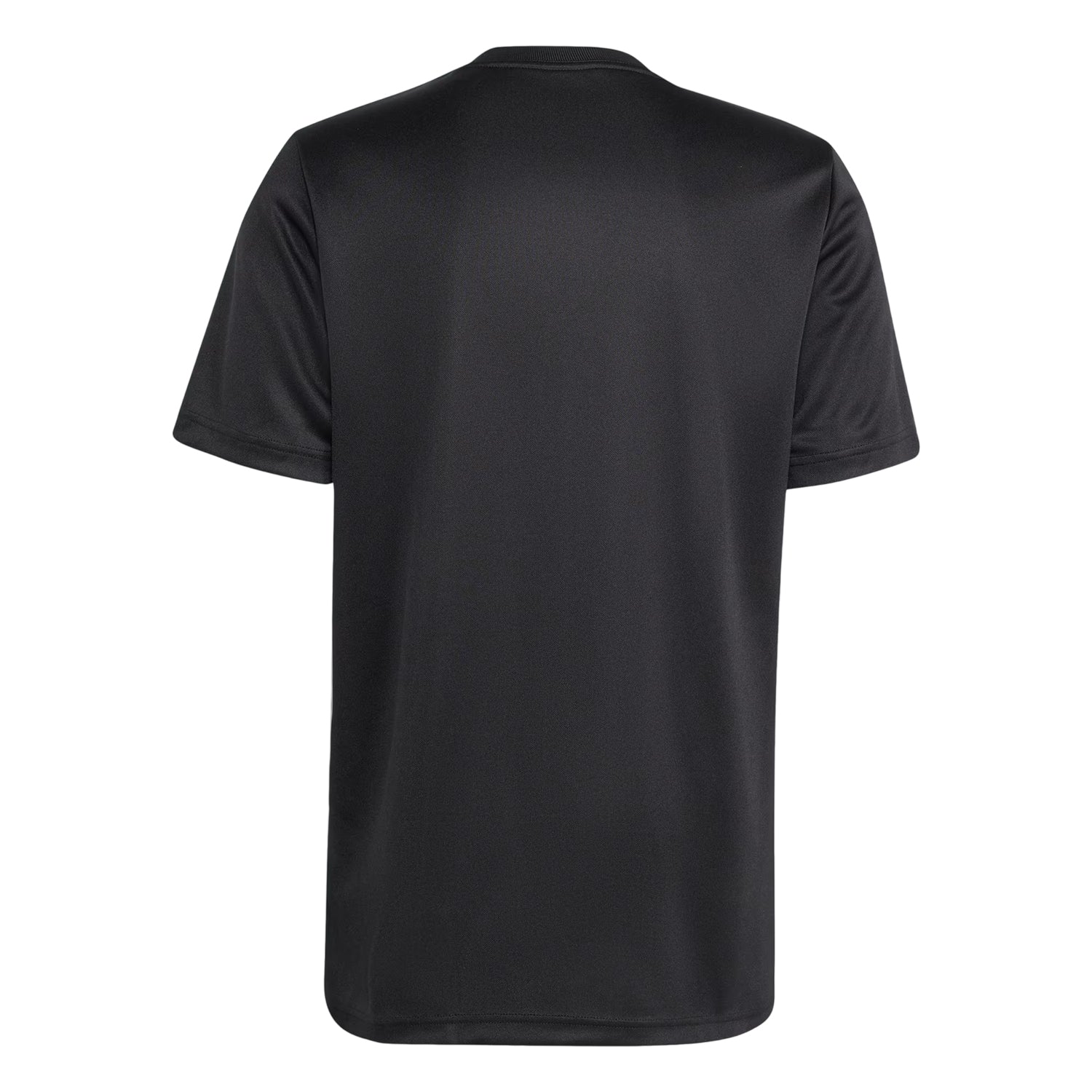 All Black - Back - New Zealand All Blacks Mens Adidas T-Shirt