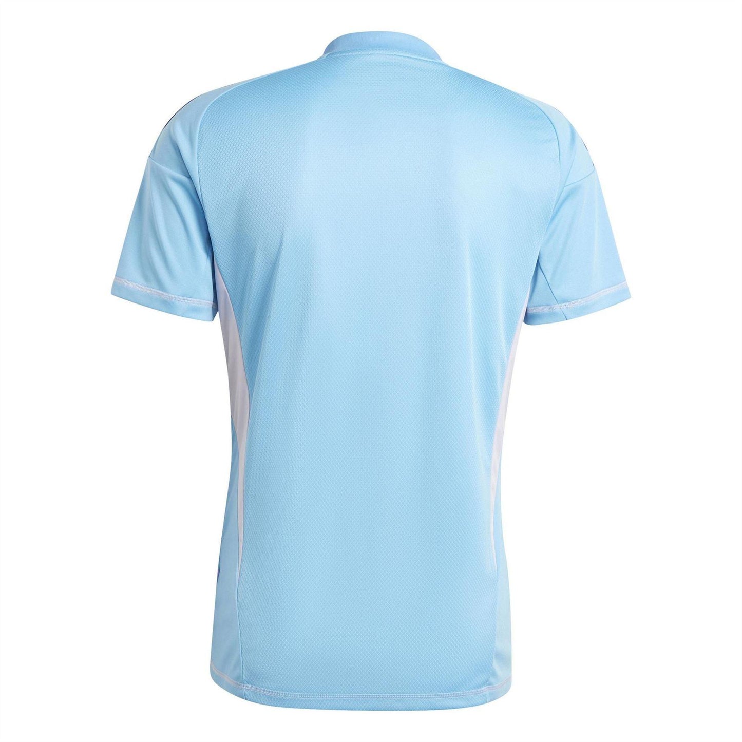 Blue Burst - Back - Real Madrid CF Mens Adidas Goalkeeper Jersey
