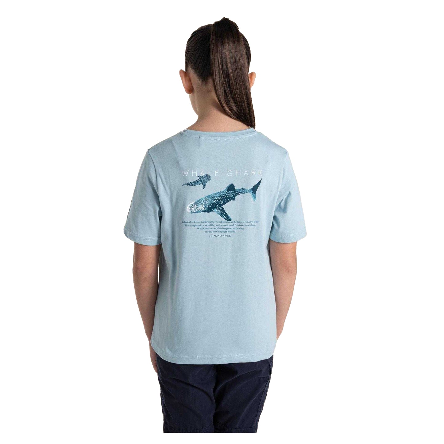 Sky Blue - Back - Craghoppers Childrens-Kids Ellis Whale Shark T-Shirt