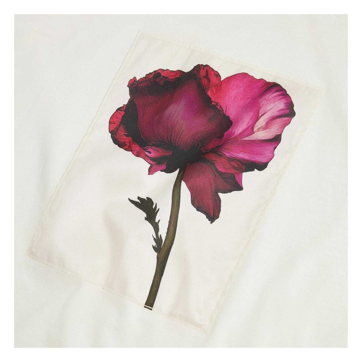 Ivory - Side - Ted Baker Womens-Ladies Floral Soft Touch Relaxed Fit T-Shirt