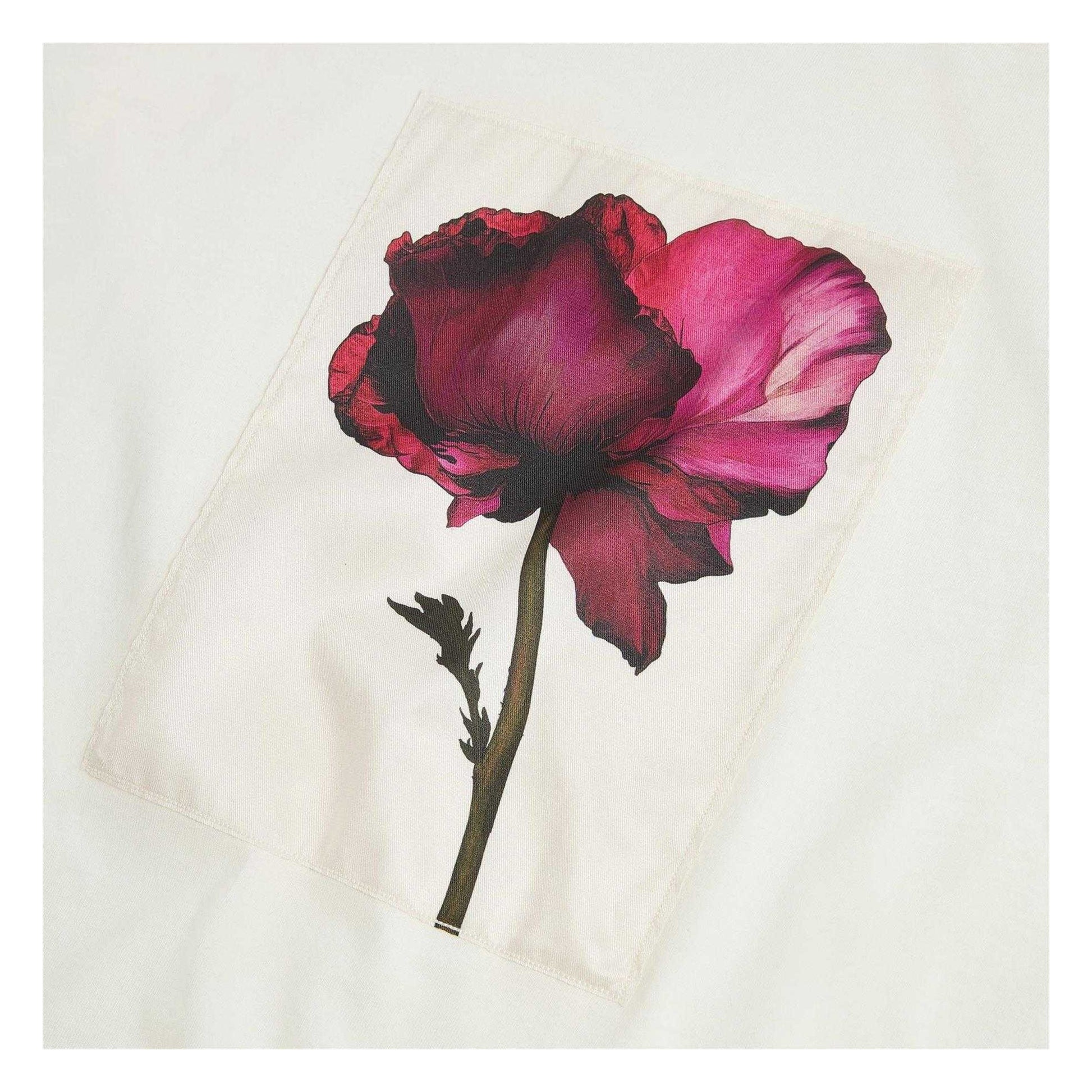 Ivory - Side - Ted Baker Womens-Ladies Floral Soft Touch Relaxed Fit T-Shirt