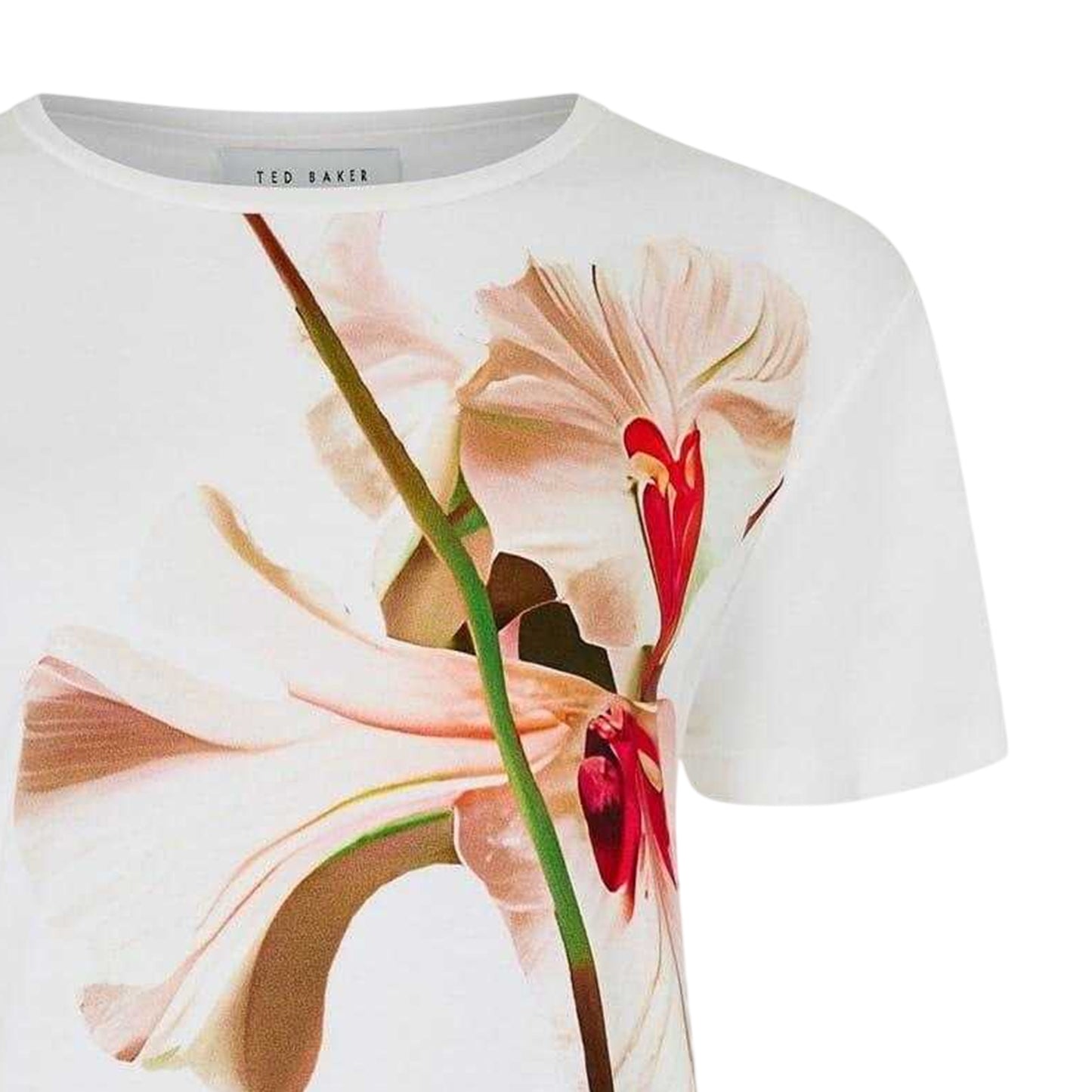Nude Pink - Back - Ted Baker Womens-Ladies Flower Slim T-Shirt
