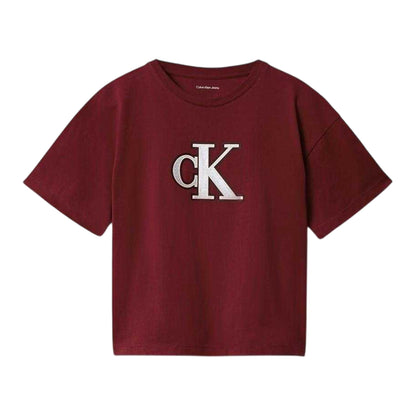 Raspberry - Front - Calvin Klein Childrens-Kids Jeans Big Logo Regular T-Shirt