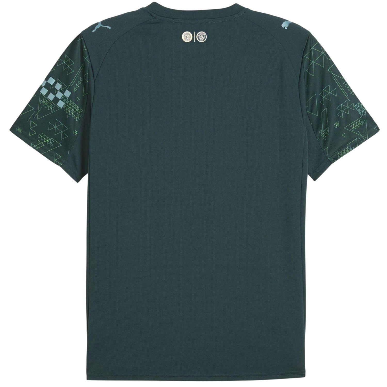 Green - Back - Manchester City FC Mens 25-26 Manchester City FC Jersey