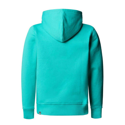 Aqua - Back - The North Face Boys Drew Peak Cotton Fleece Lined Relaxed Fit Hoodie