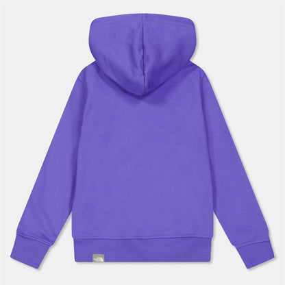 Purple - Back - The North Face Boys Drew Peak Cotton Fleece Lined Relaxed Fit Hoodie