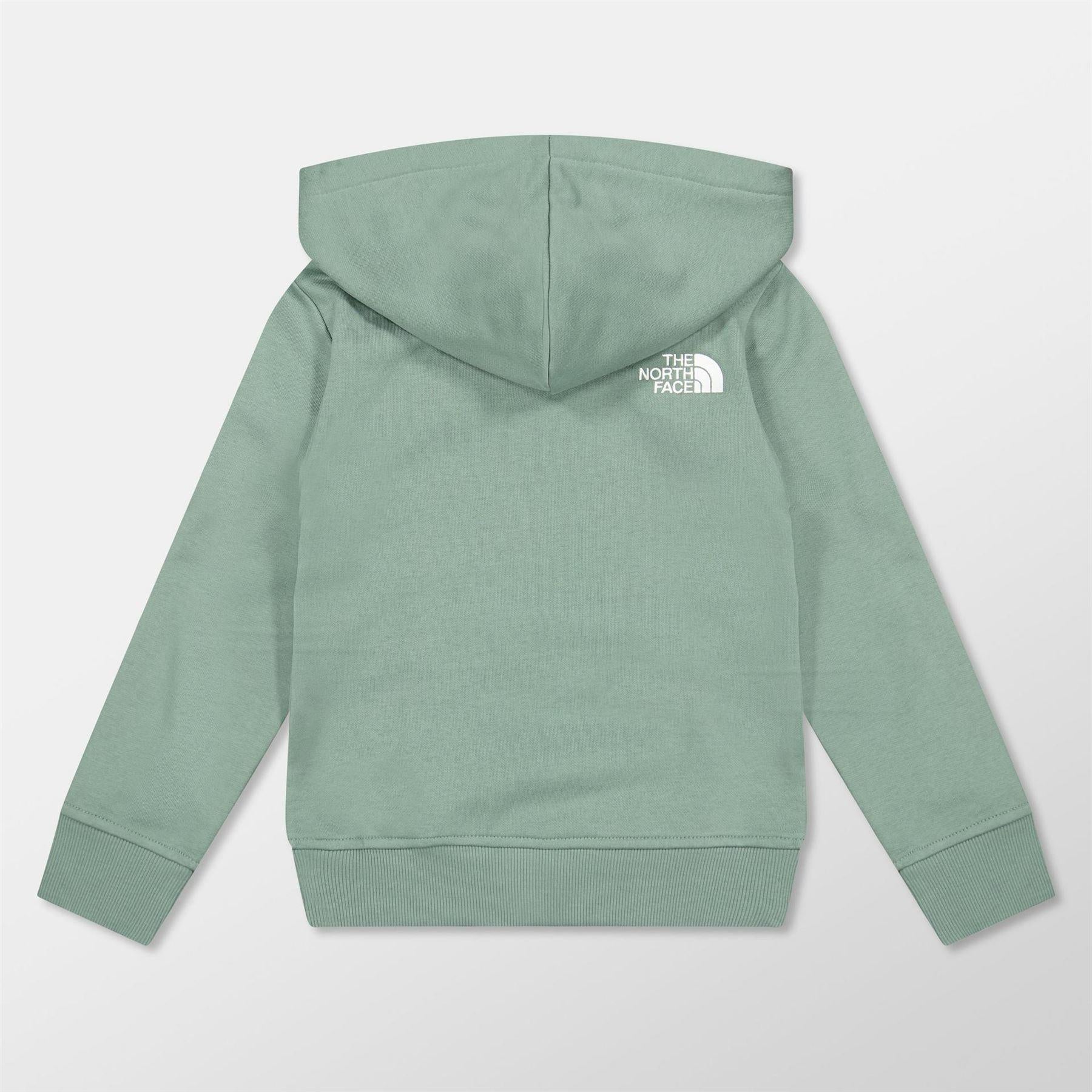 Duck Green - Back - The North Face Boys Drew Peak Cotton Fleece Lined Relaxed Fit Hoodie