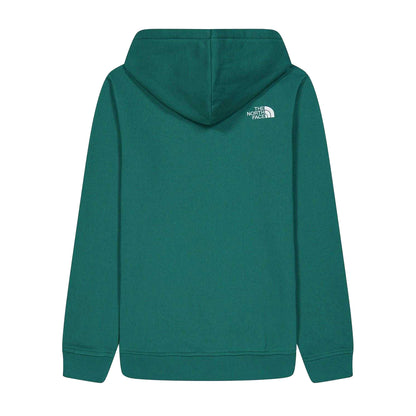 Green - Back - The North Face Boys Drew Peak Cotton Fleece Lined Relaxed Fit Hoodie